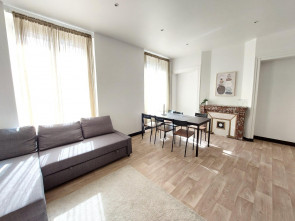 Appartement en Location à Saint-etienne / 1 pièce 106m2