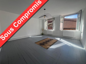 Appartement en Vente à Saint-etienne / 2 pièces 52m2