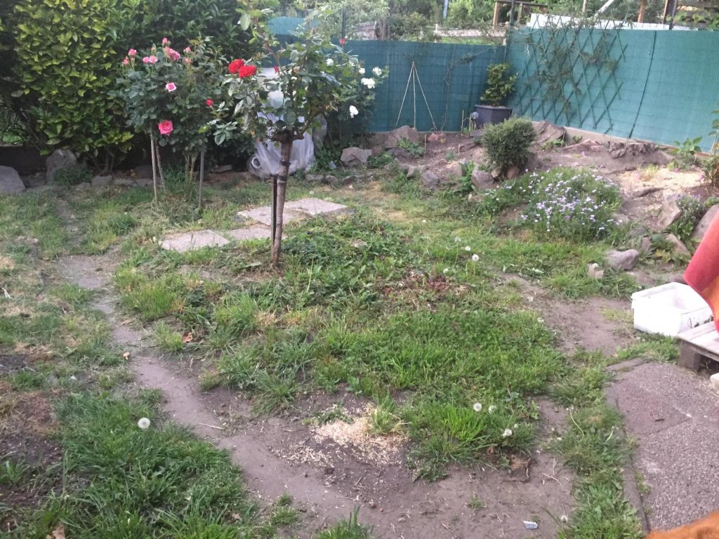 MAISON A LOUER - ST ETIENNE - 61.02 m2 - 660 &euro; charges comprises par mois
