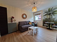 STUDIO A LOUER - ST PRIEST EN JAREZ - 27.49 m2 - 470 &euro; charges comprises par mois