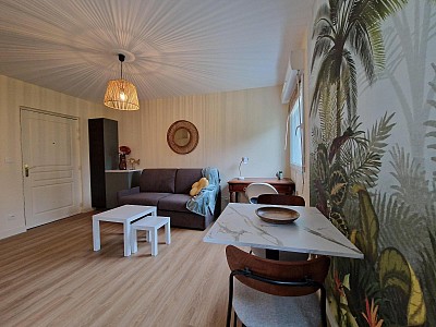 STUDIO A LOUER - ST PRIEST EN JAREZ - 27.49 m2 - 470 € charges comprises par mois