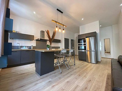 APPARTEMENT T2 A LOUER - ST ETIENNE - 68 m2 - 670 € charges comprises par mois