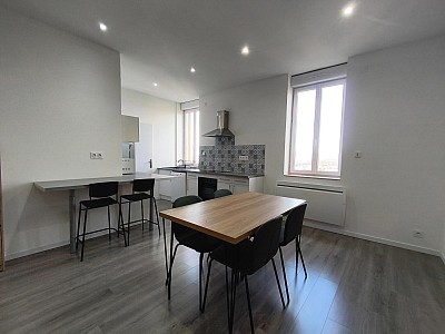 APPARTEMENT T2 A LOUER - ST ETIENNE - 53.93 m2 - 590 € charges comprises par mois