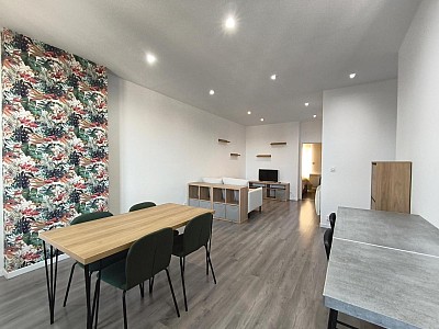 APPARTEMENT T2 A LOUER - ST ETIENNE - 53.93 m2 - 590 € charges comprises par mois