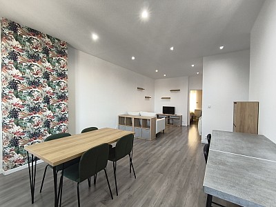 APPARTEMENT T2 A LOUER - ST ETIENNE - 53.93 m2 - 590 € charges comprises par mois