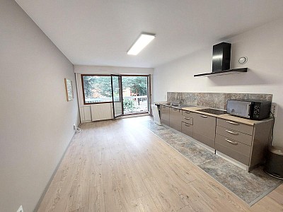 APPARTEMENT T3 A LOUER - ST ETIENNE - 65.11 m2 - 765 € charges comprises par mois