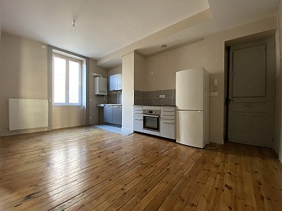 APPARTEMENT T3 A LOUER - ST ETIENNE - 51 m2 - 480 &euro; charges comprises par mois