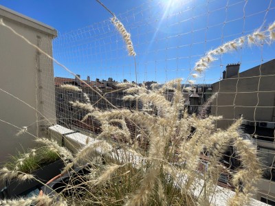 Appartement F6 avec balcon et terrasse - Secteur Albert Thomas, Bourse du travai