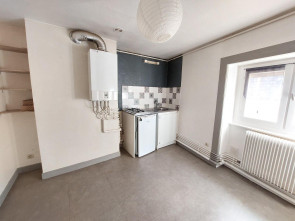 Appartement en Location à Saint-etienne / 2 pièces 42m2